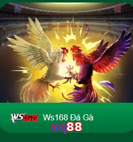 aq88